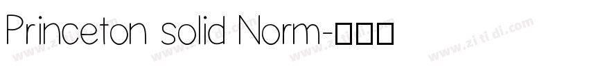 Princeton solid Norm字体转换